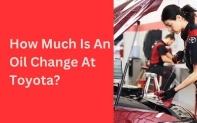 How Much Is An Oil Change At Toyota? [Cost, Hours]