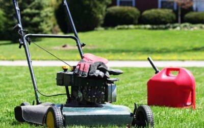 How Often to Change Lawn Mower Oil? Explained!